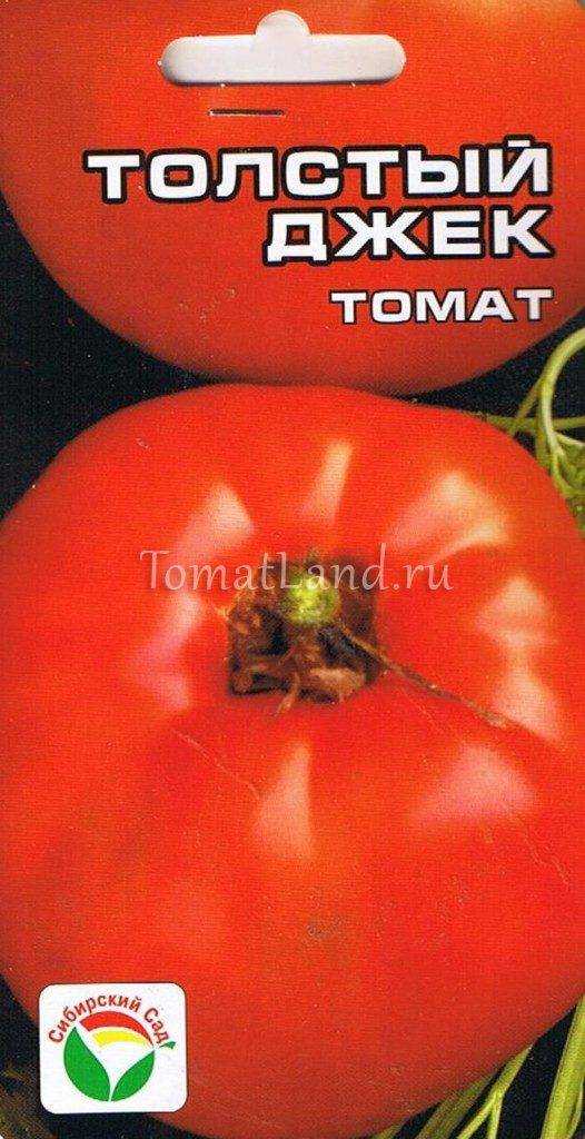 Характеристика и описание сорта томата толстый джек, его урожайность