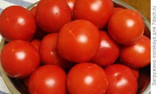 Неприхотливый, но очень вкусный сорт томатов «чудо рынка» с богатым урожаем — любимец опытных огородников