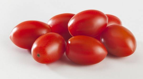 Сорт томата «крупная сливка»: описание, характеристика, посев на рассаду, подкормка, урожайность, фото, видео и самые распространенные болезни томатов