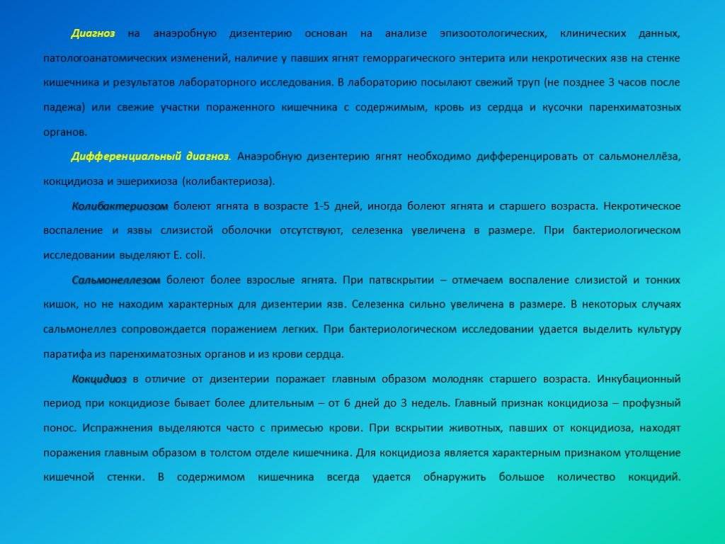 Анаэробная дизентерия телят