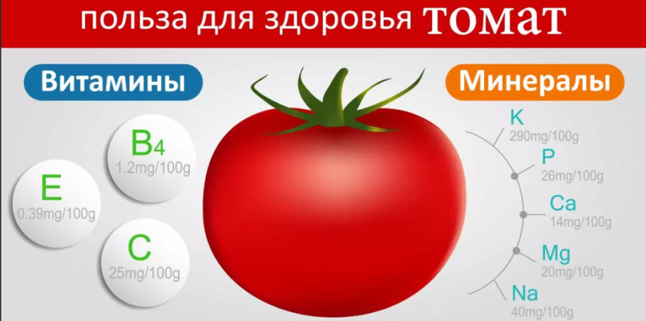 Помидоры: польза и вред для организма человека свежих и консервированных томатов