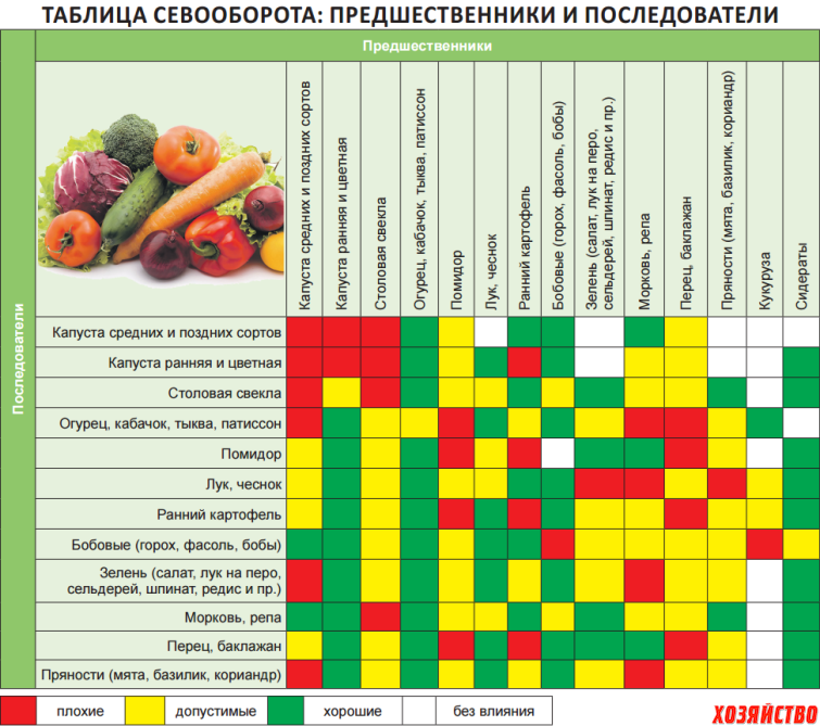 Таблица севооборота на огороде: правила чередования овощей
