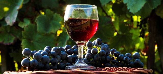 Вино не бродит — что делать и как перезапустить процесс
