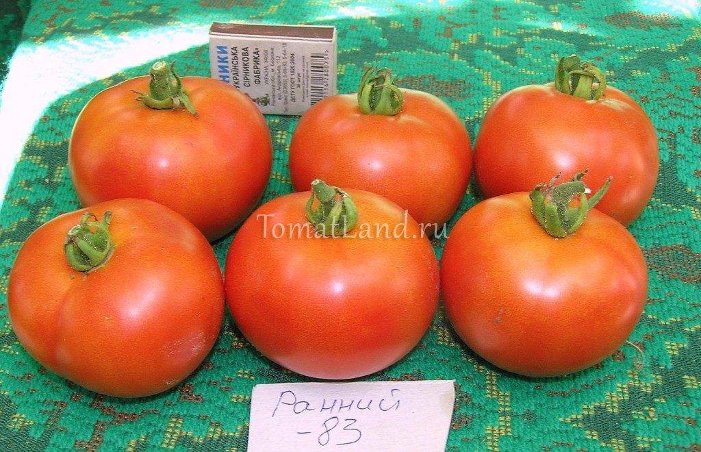Описание сорта томата моя любовь и его характеристики
