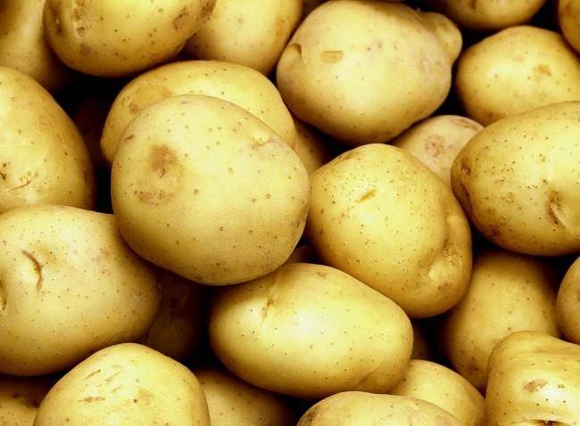 Картофель тулеевский: 8 особенностей и 10 советов по выращиванию и хранению