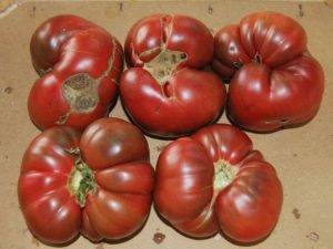 Чёрные помидоры: экзоты на томатной грядке