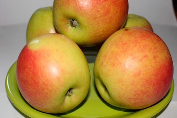 Яблони — сорта и критерии выбора для черноземья