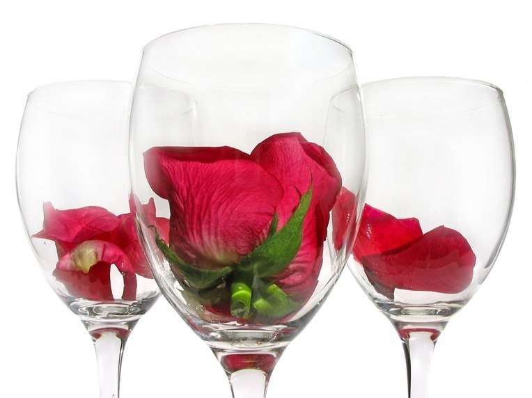 Что можно приготовить из лепестков роз – рецепты варенья, вина, настоек