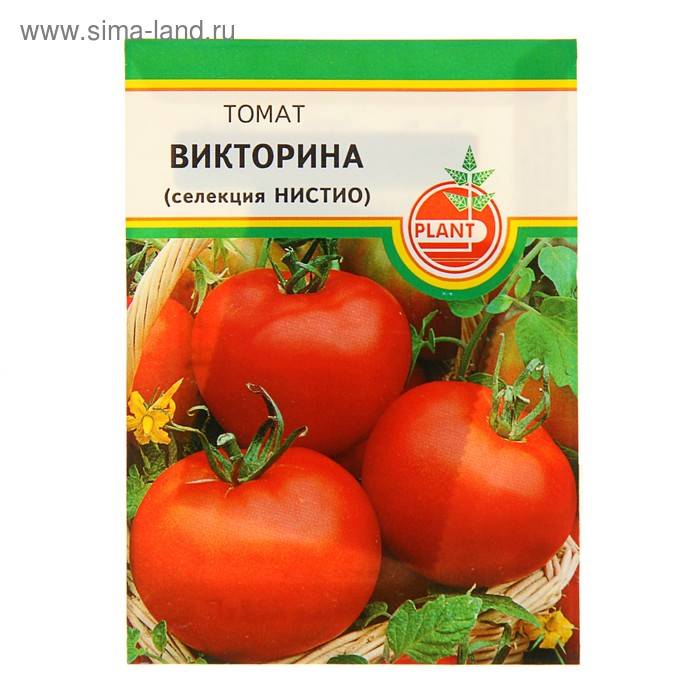 Описание сорта томата Максимка, выращивание и уход