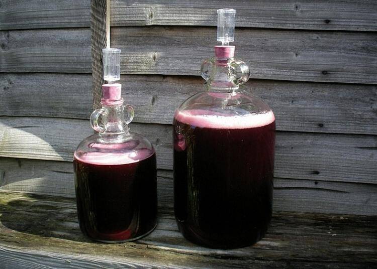 Начинаем с простых рецептов ягодных вин