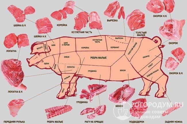 Как разделать свинью: как правильно разрезать, разделать поросенка, забой и разделка