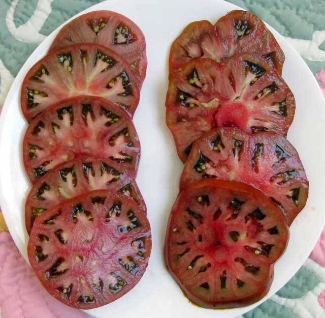 Характеристика и описание сорта томата негритенок, его урожайность