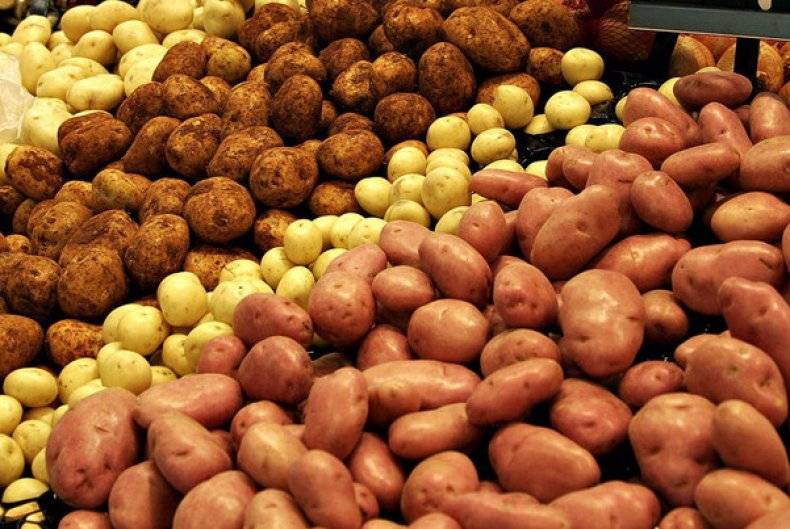 Полив картофеля в открытом грунте - основные правила, сроки и нормы