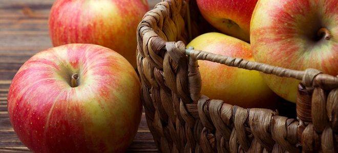 Как хранить яблоки в холодильнике на зиму