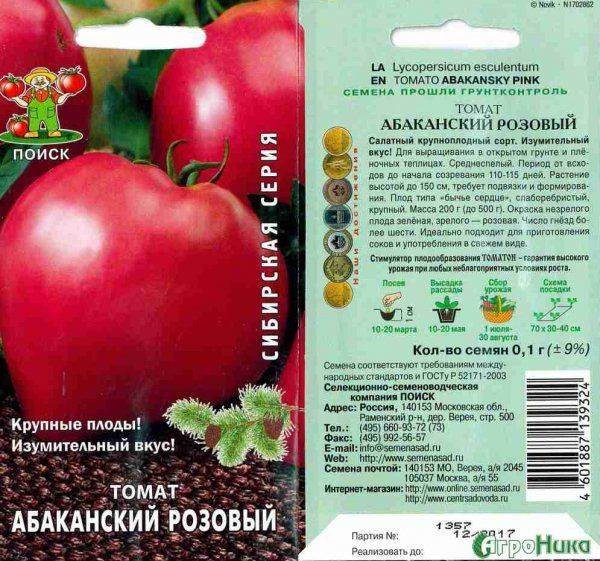 Сорт томата абаканский розовый – его характеристика и особенности выращивания