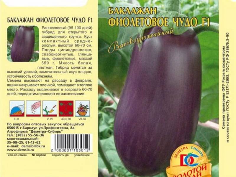 Описание сорта баклажана Фиолетовое чудо, особенности выращивания и ухода