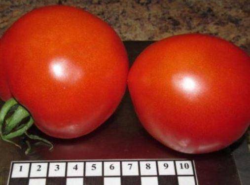 Ещё один замечательный тепличный сорт томатов «сибирское яблоко»: его характеристики и описание