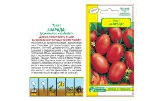 Описание сорта томата Транс новинка, его характеристика и урожайность