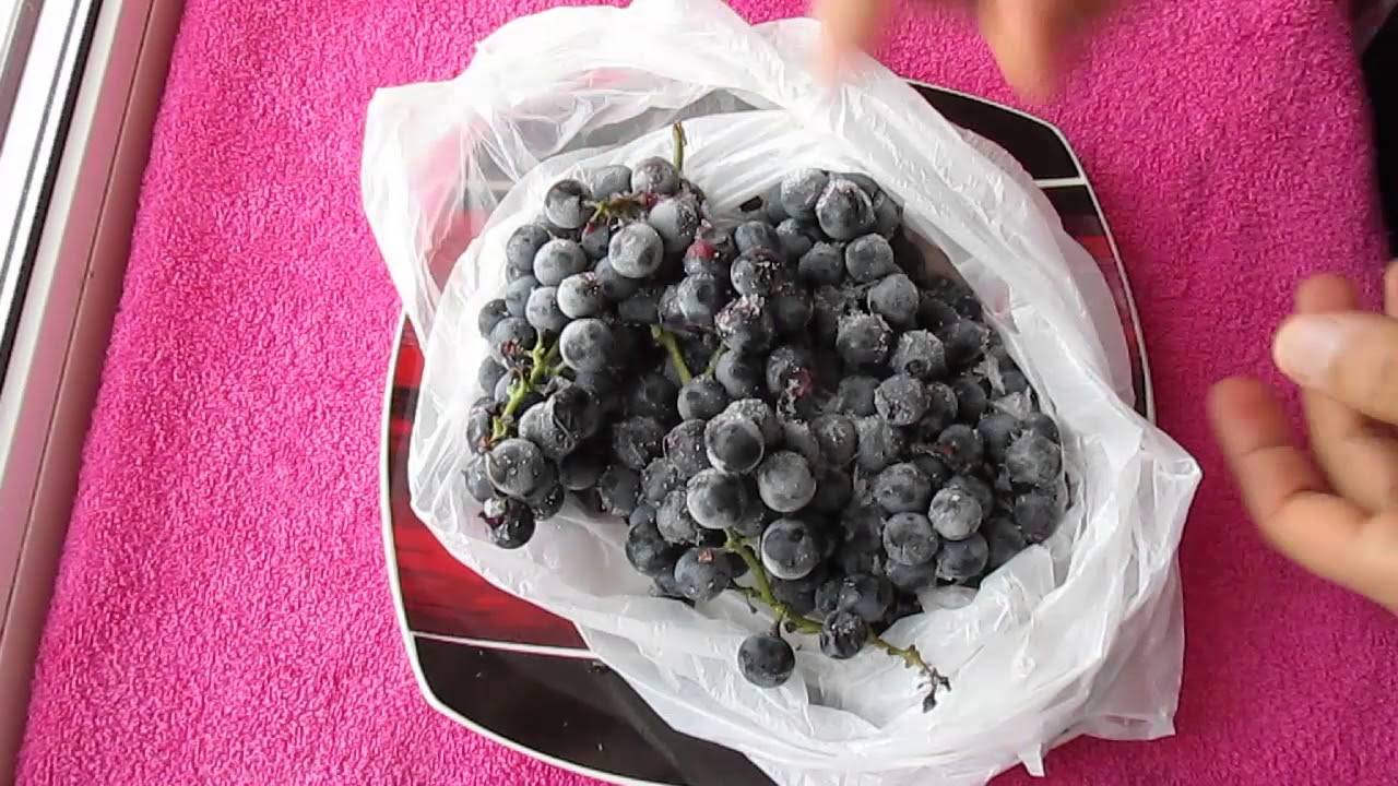 Как заморозить виноград на зиму: 2 самых лучших рецепт с фото