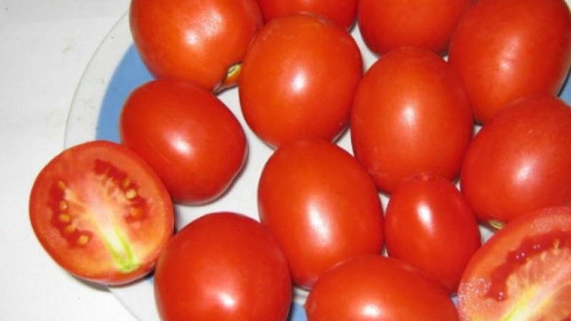 Описание и особенности выращивания томата маруся