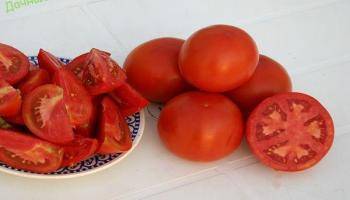 Сорт томата «матрешка»: прекрасный выбор для консервирования