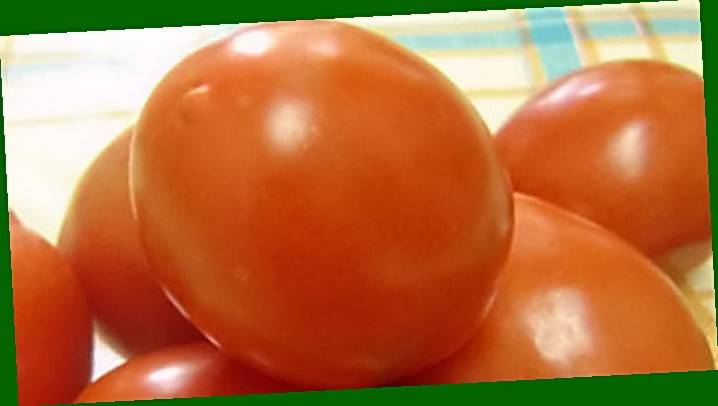 Рецепты подкормок рассады помидоров. чем удобрять до и после пикировки?