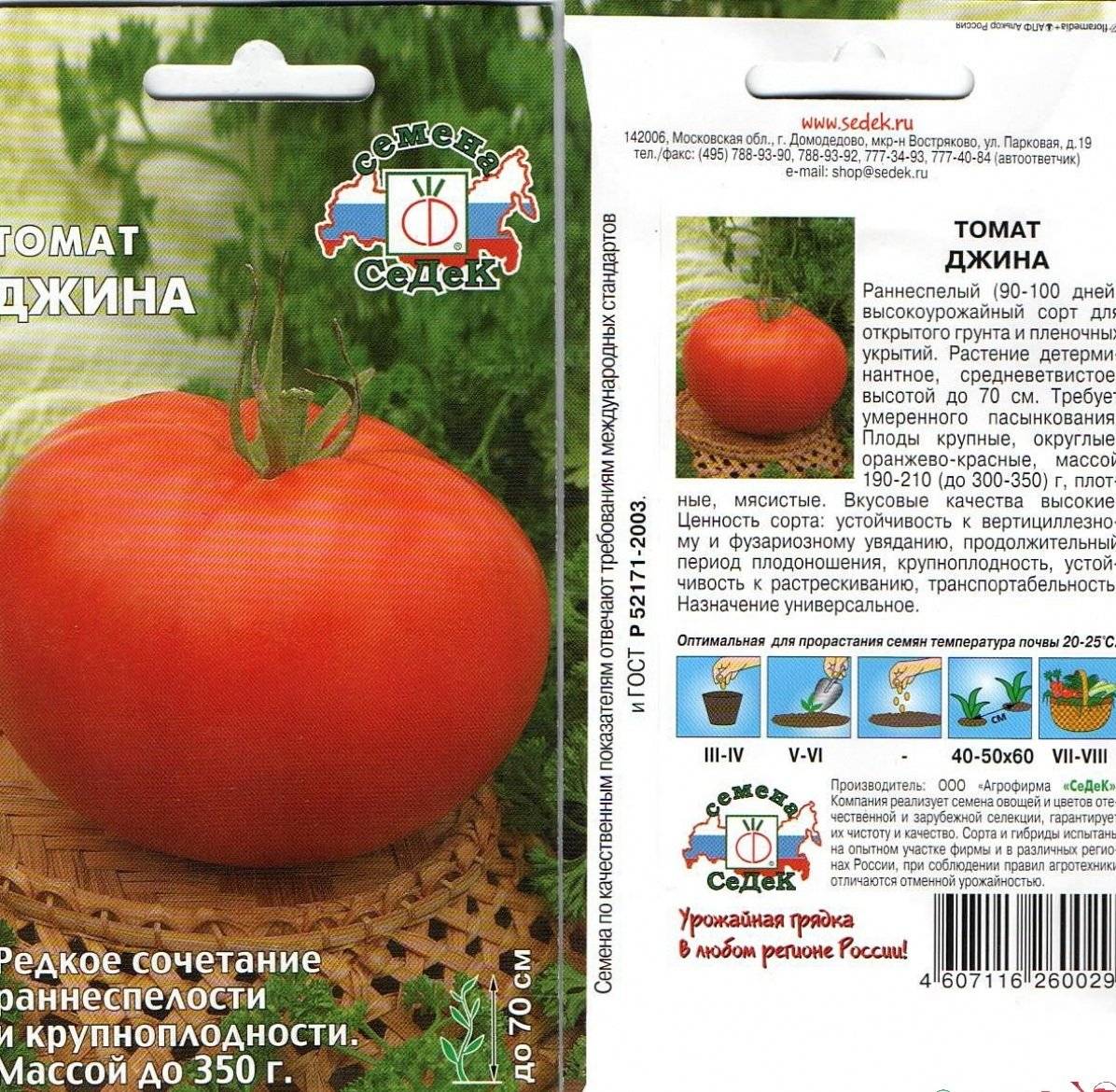 Описание томата джина и технология выращивания