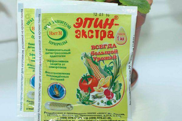 «эпин» — стимулятор роста растений
