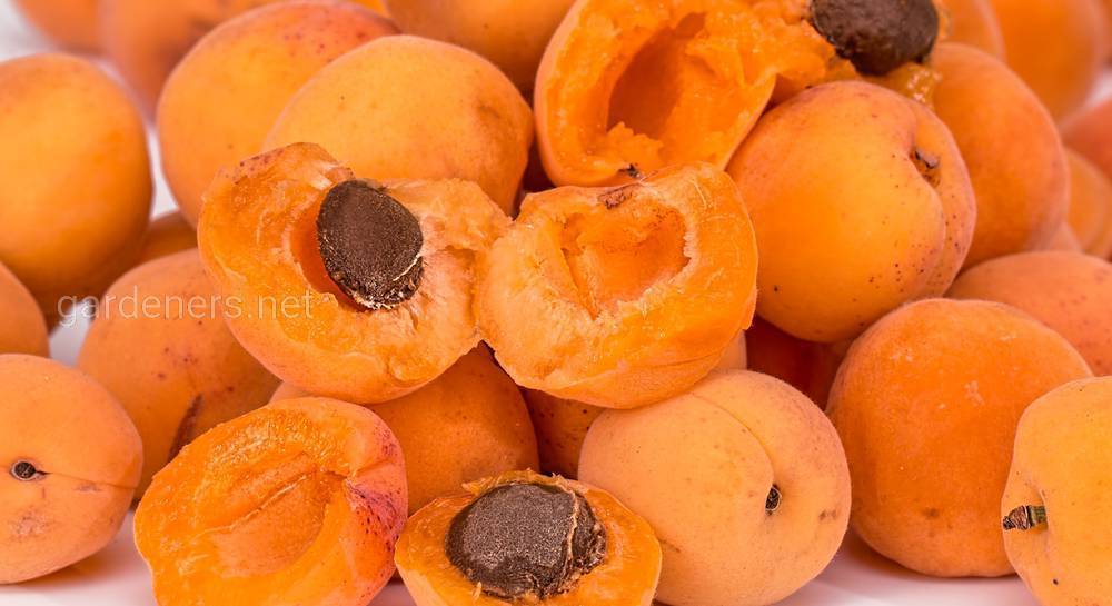 Компот из абрикосов и апельсинов на зиму рецепт с фото