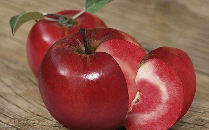 Томат яблочный спас — описание и характеристика сорта