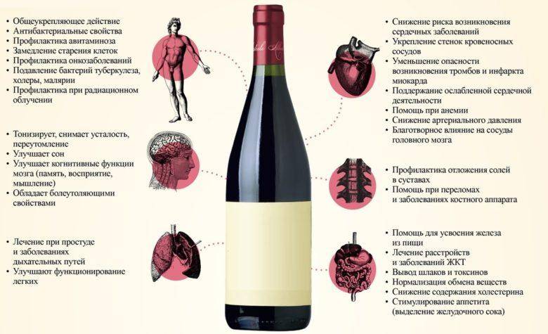 Польза красного вина для здоровья: чем полезно для организма человека