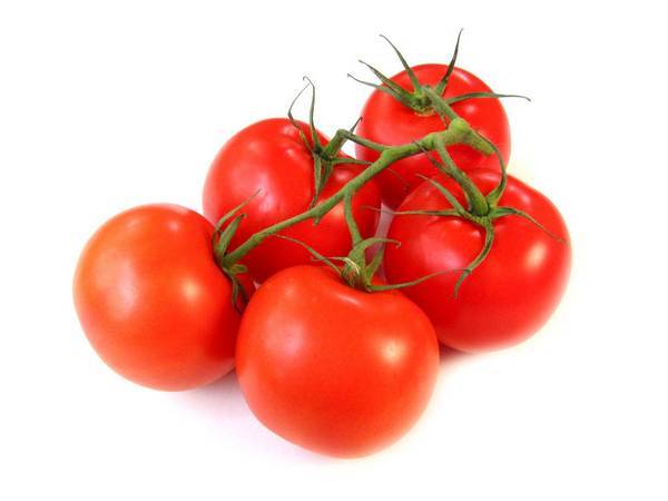 Характеристика сорта томатов "третьяковский"