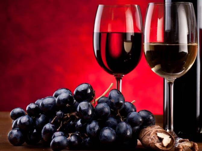 Описание и характеристика винограда сорта пино гриджио, плюсы и минусы, выращивание