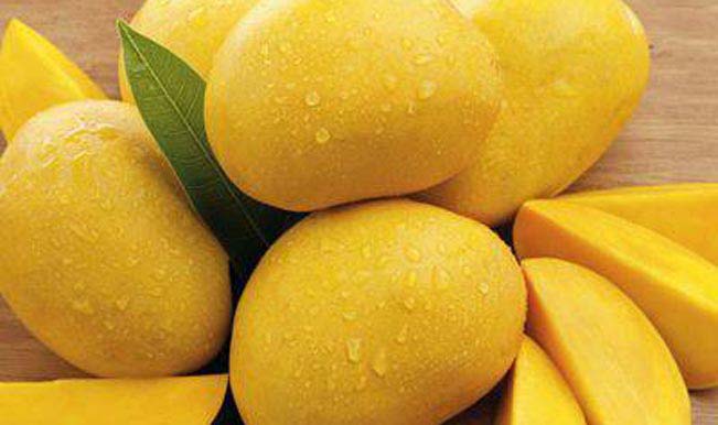 Описание манго сорта Альфонсо, размножение и уход в домашних условиях