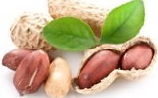 Описание земляного ореха (арахиса) и его полезные свойства