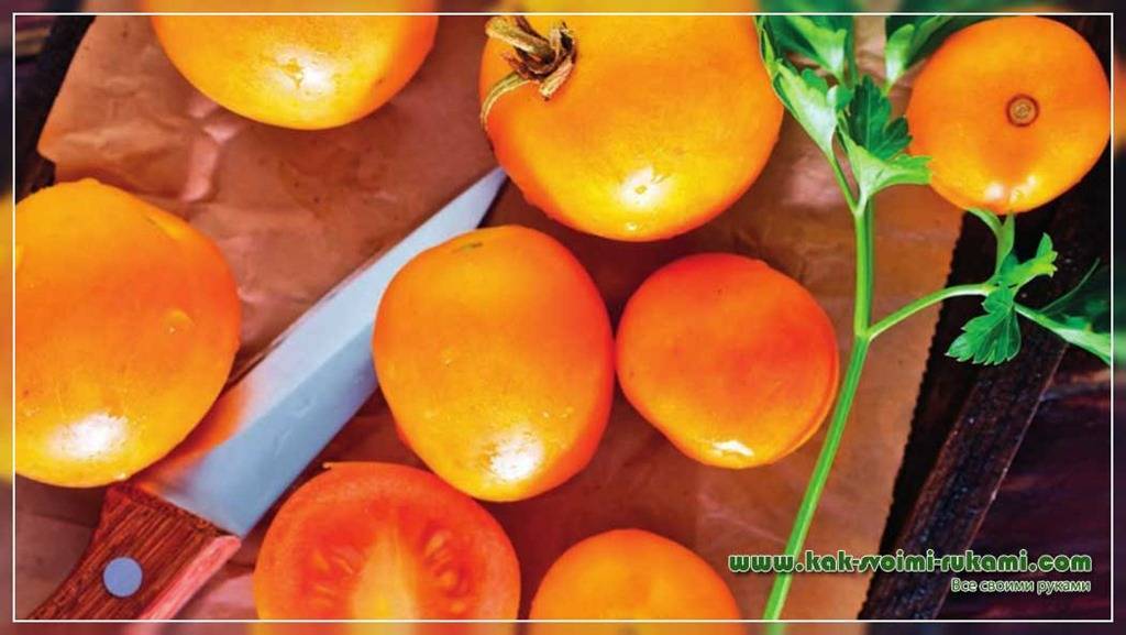 Томат король сибири как лучший сорт оранжевых томатов