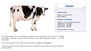 Определения веса крупного рогатого скота (крс) - по промерам