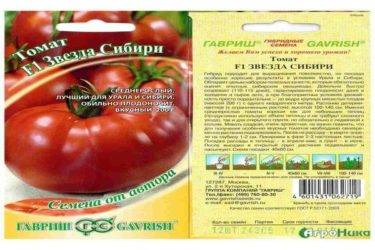 Очень урожайный томат «эм чемпион»: описание и характеристика сорта, урожайность помидоров