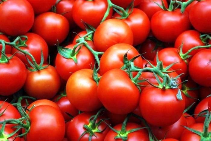 Чем подкормить рассаду помидор после пикировки — особенности работы и 8 народных средств