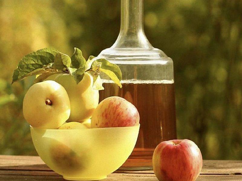 Яблочное вино в домашних условиях простой рецепт с фото пошагово