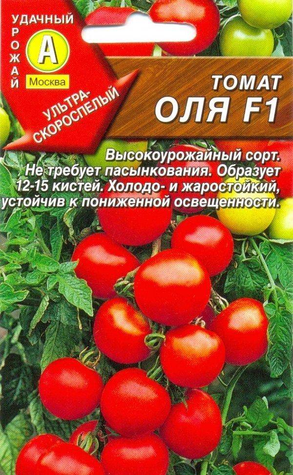 Особенности сорта и правила выращивания томата ольга f1