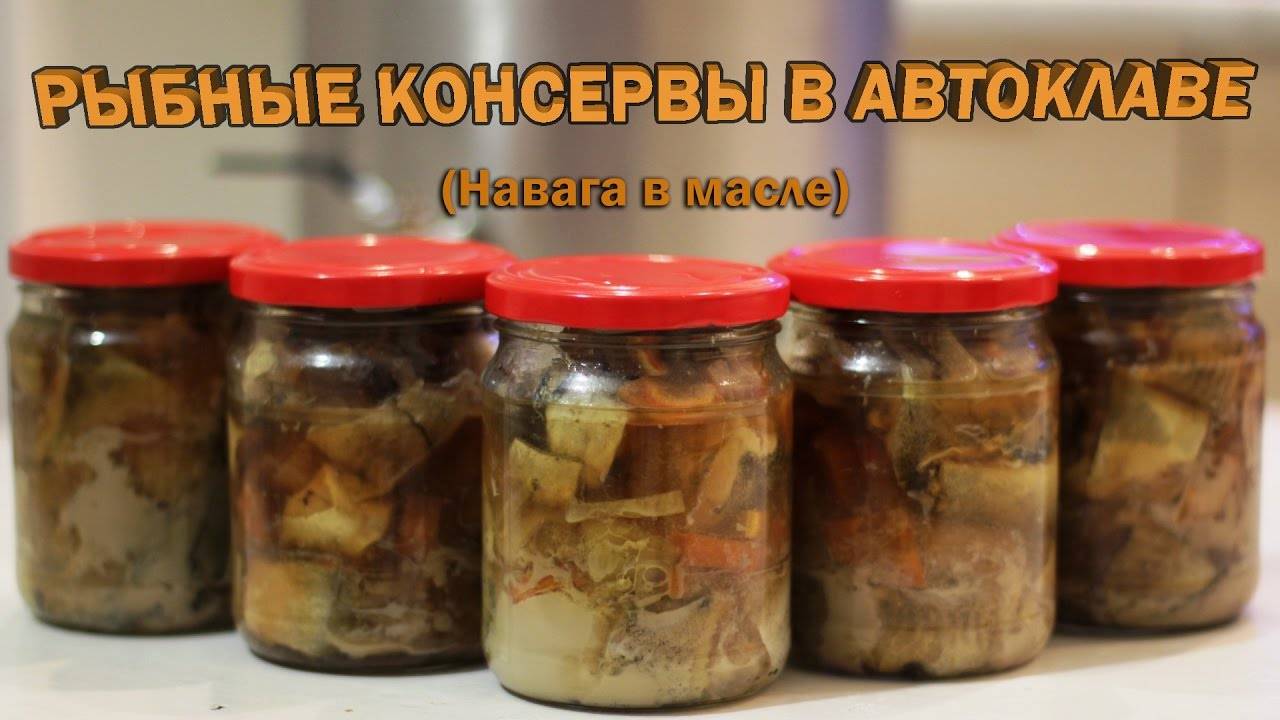 Рыба в автоклаве в домашних условиях. рецепты приготовления в томате, собственном соку, масле