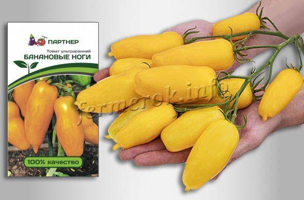 Томат банановые ноги: описание сорта, выращивание, фото