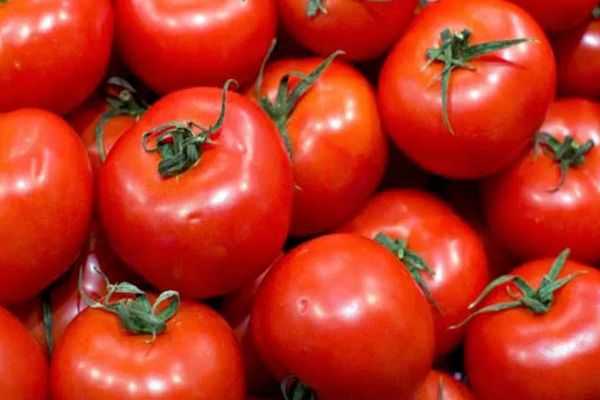 5 правил, чтобы вырастить крупные томаты
