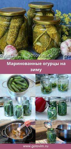 Маринованные огурцы с базиликом на зиму: рецепты с фото и видео