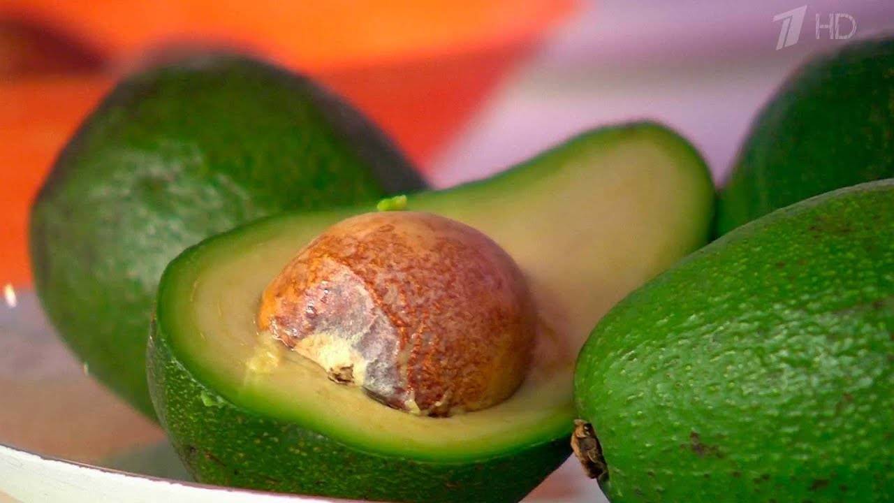 Авокадо: польза и вред для организма человека