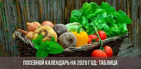 Лунный календарь садоводов и огородников для сибири на 2020 год