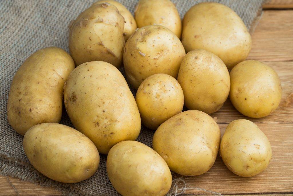 ﻿﻿  картофель «уладар» — ранний, вкусный, урожайный