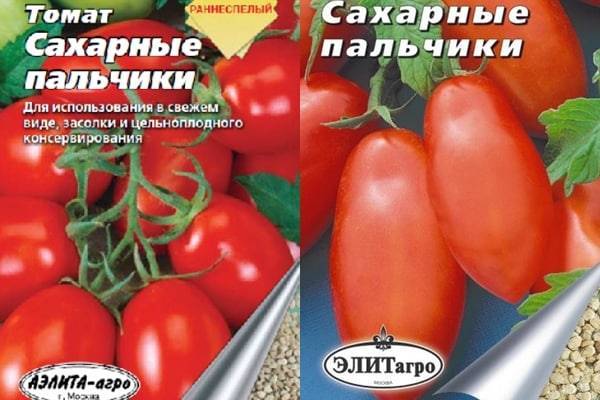 Высокоурожайный сорт томатов дамские пальчики