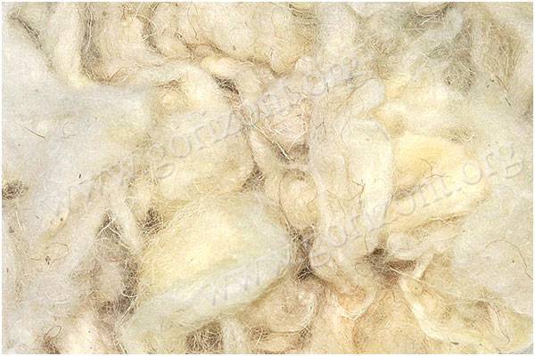 Что можно делать из овечьей шерсти, виды и классификация волокон